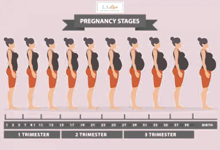 First Trimester (Weeks 1–12): Early Changes You Might Not Notice Bishop's Stortford